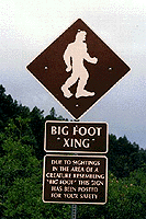 Big Foot Xing!